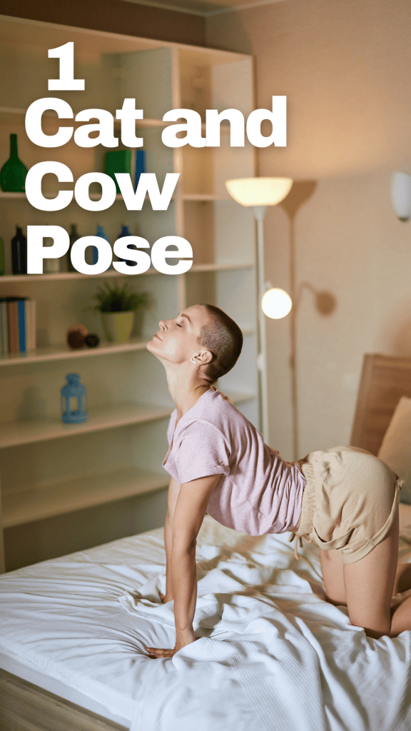Yoga stretches Cat and Cow Pose